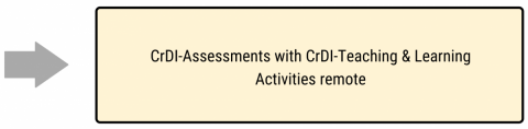Arrow pointing to the text box "CrDI-Assessments with CrDI-Teaching & Learning Activities remote" 